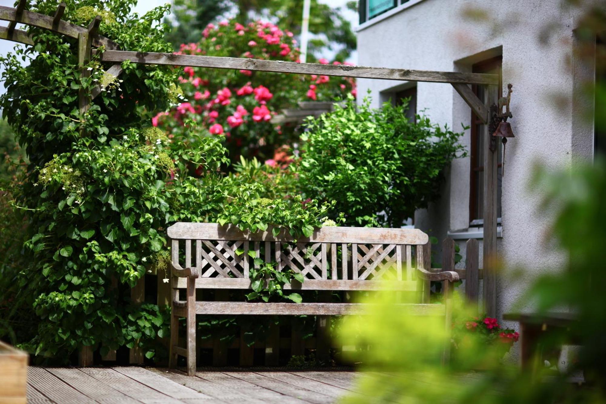 Haus Wildgans - Ferienwohnung Sonnenblume Behrensdorf 외부 사진